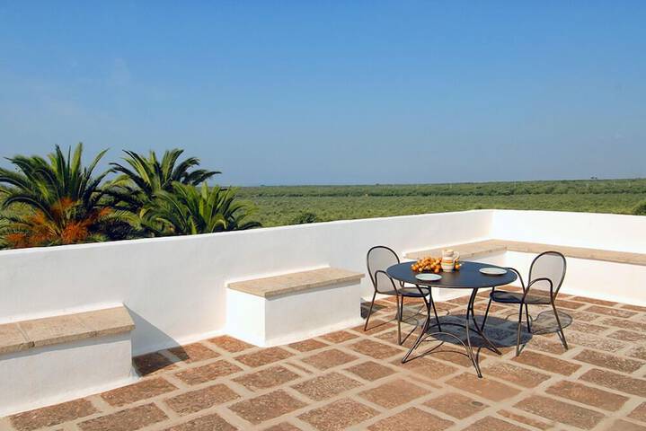 Terrace/Patio 32 of 47