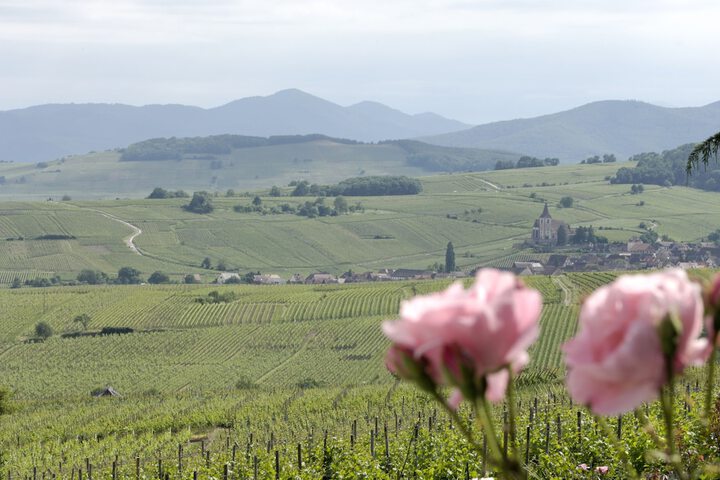 Hotel Entry