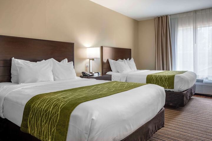 2 Queen Beds (8 of 22)