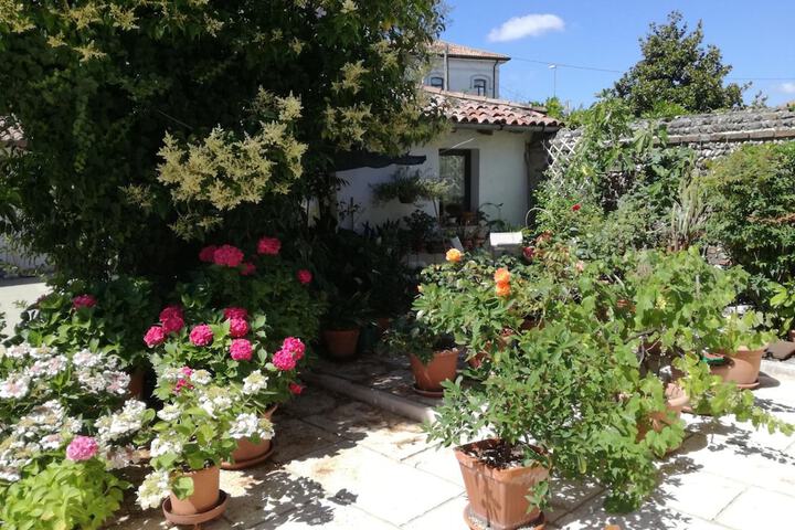 Property Grounds 20 of 20