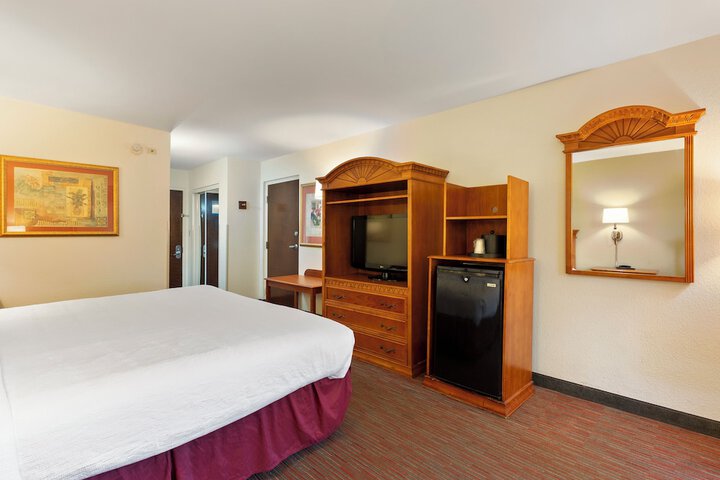 Standard Single King Bed Accessible (2 of 10)