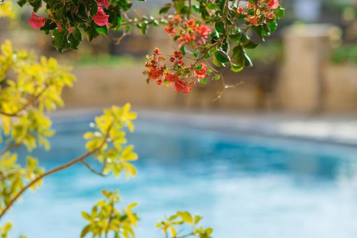 Pool 58 of 74