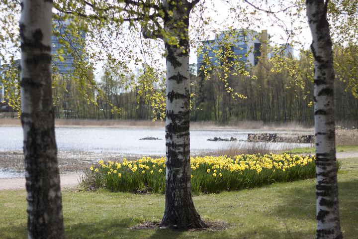 View from room