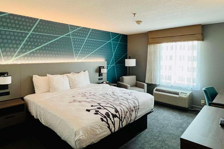 1 King Bed (5 of 15)