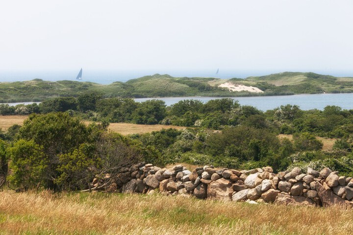 Property Grounds 27 of 36