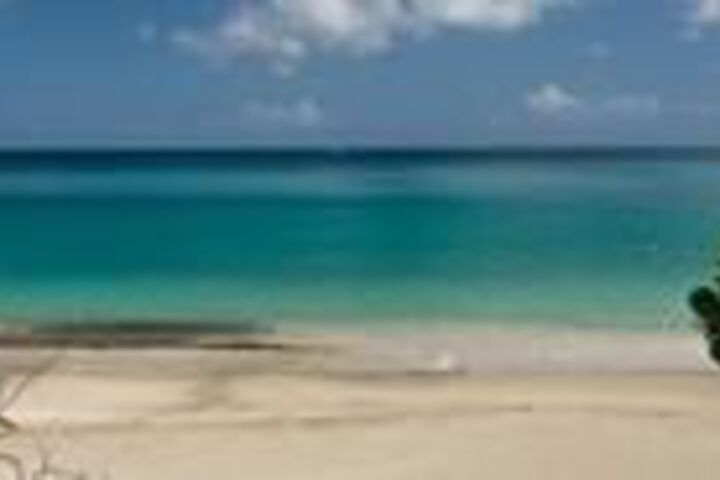 Beach 12 of 40