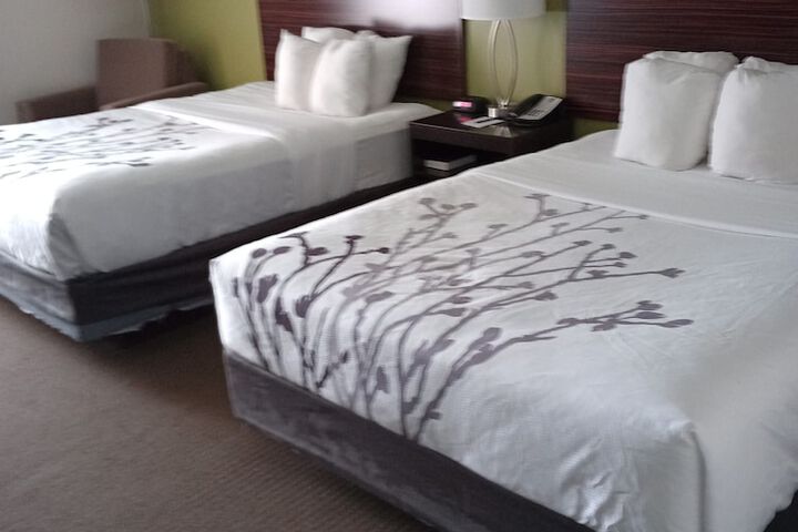 Room 16 of 51