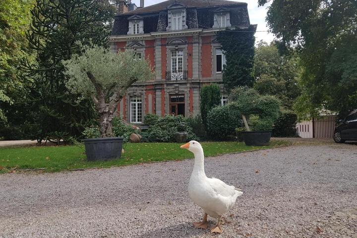 Exterior of Château Lambert Moulinsart Hotel shuttle airport, long term parking, snooker, large terrasse, dinner, breakfast