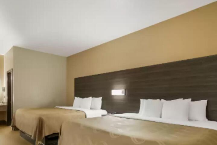 1 King Bed (8 of 23)
