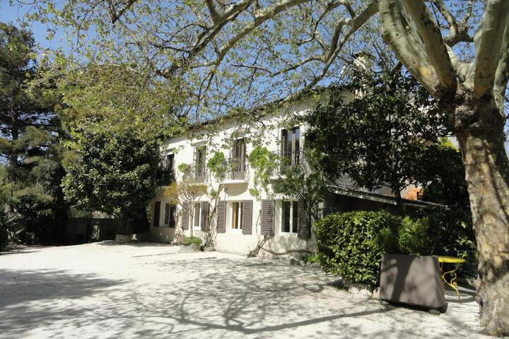Hotel de lîle
