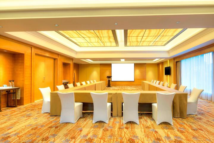Meeting 119 of 132