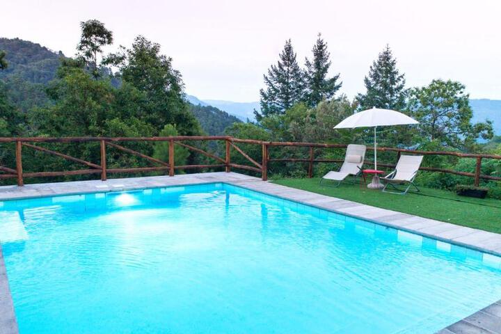 La casa del bosco