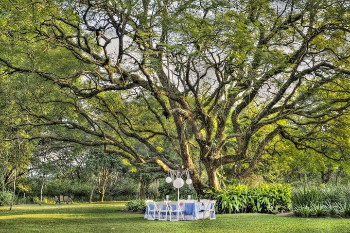 Wedding/Banquet 63 of 76