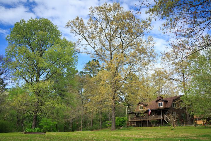 Property Grounds 22 of 28