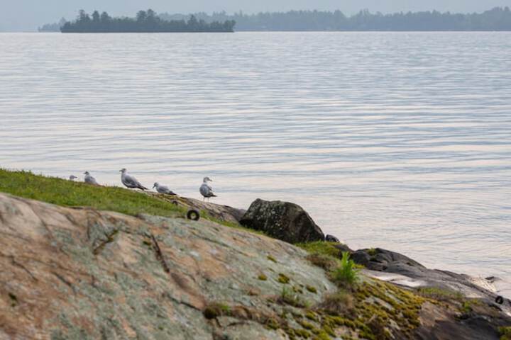 Property Grounds 52 of 60