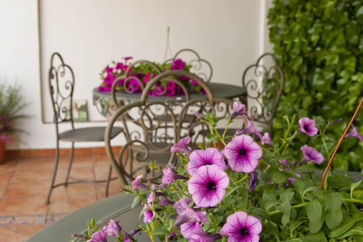 Terrace/Patio 39 of 45
