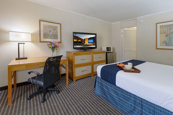 1 Queen Bed (8 of 20)