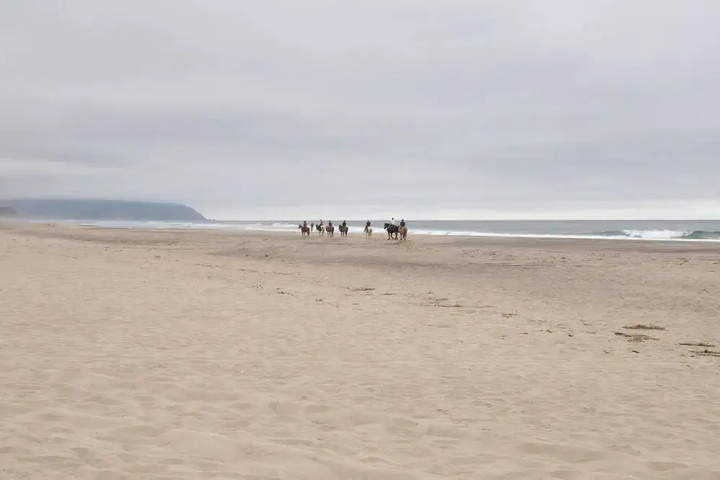 Beach 16 of 23