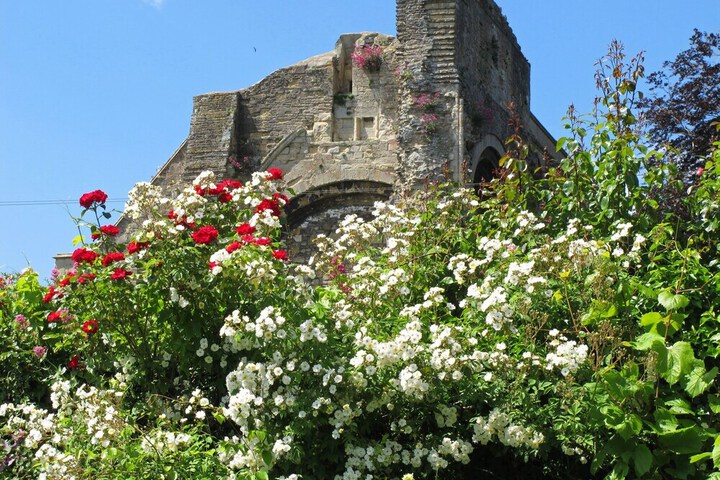 ABBEY HOUSE GARDENS