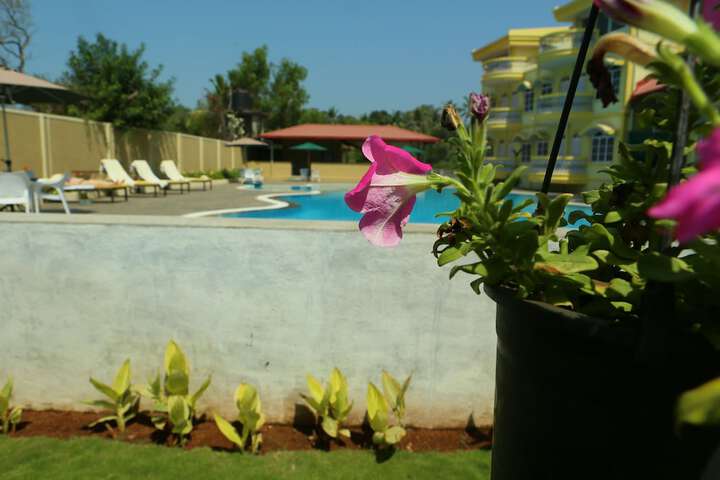 Pool to Cool