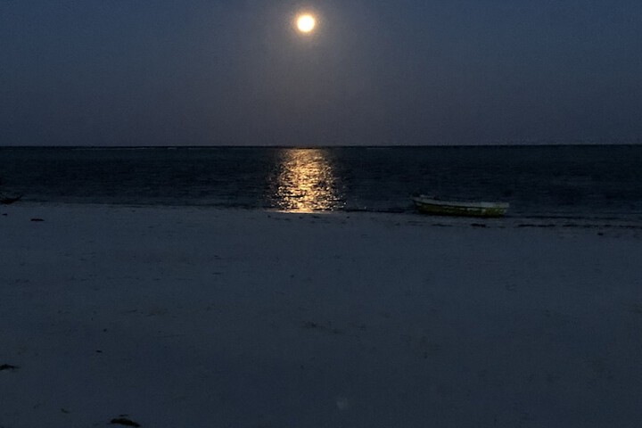 Beach 87 of 98