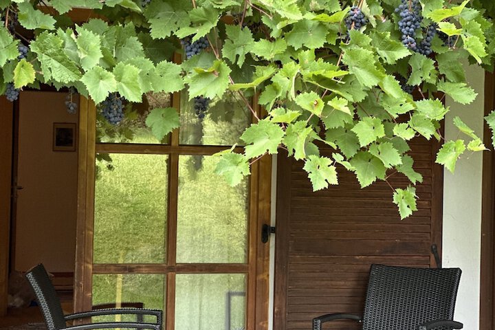 Terrace/Patio 69 of 137