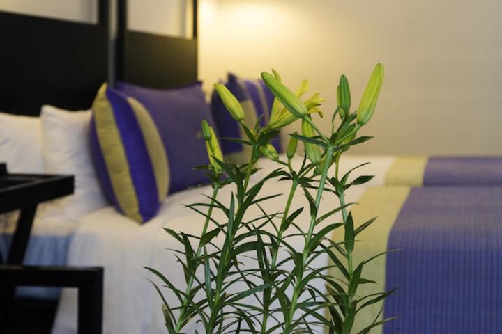 Room 5 of 60