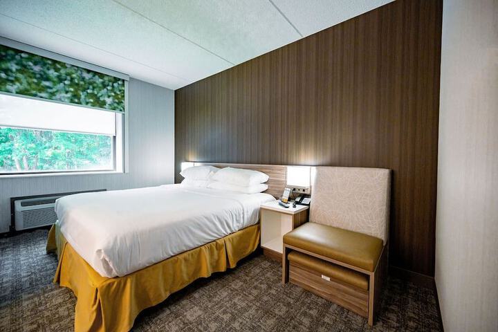 Standard King Bed Accessible (12 of 17)