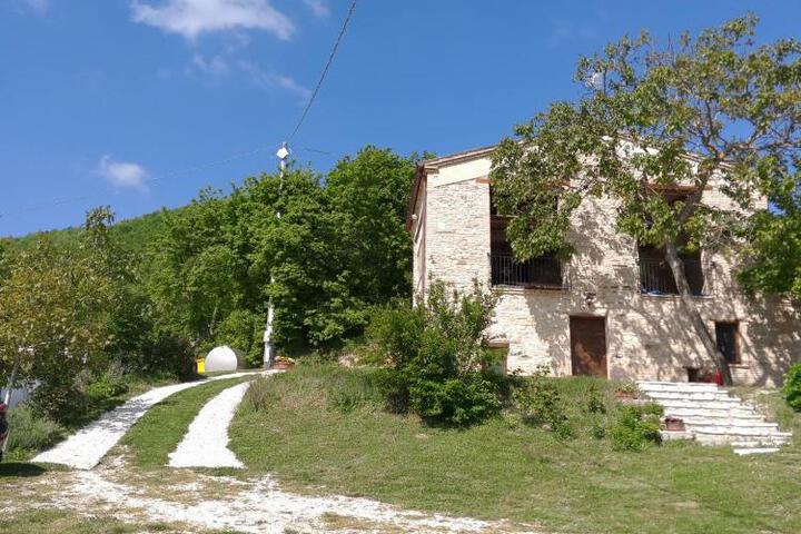 Photo 19