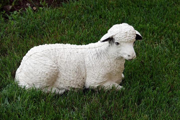 General 67 of 69