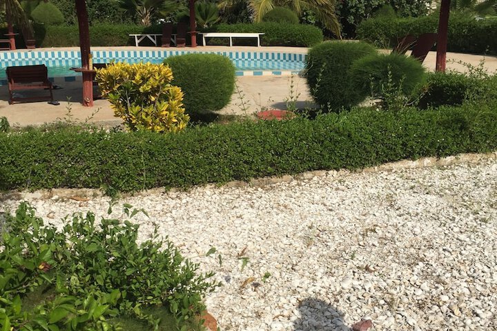 Pool 19 of 24