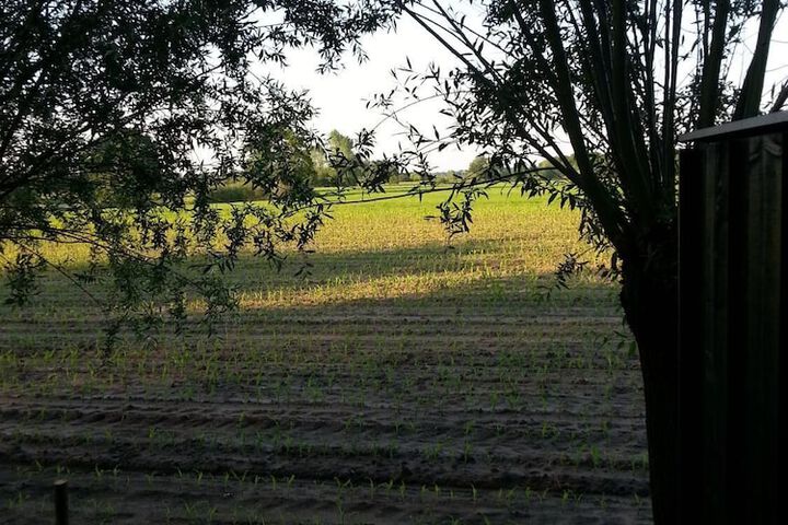 Property Grounds 34 of 37