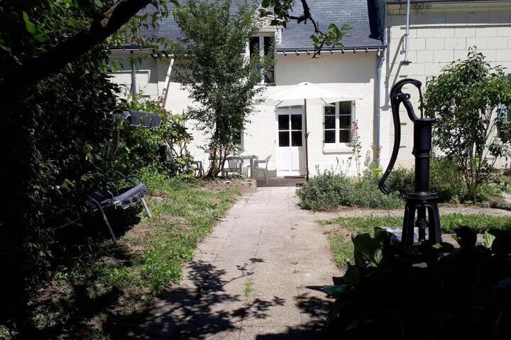 Au cœur des châteaux et des vignobles de la Loire
