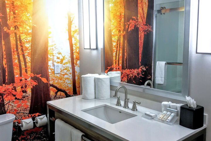 Bathroom amenities