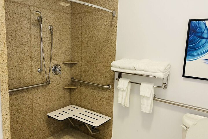 1 King Bed Accessible (22 of 24)
