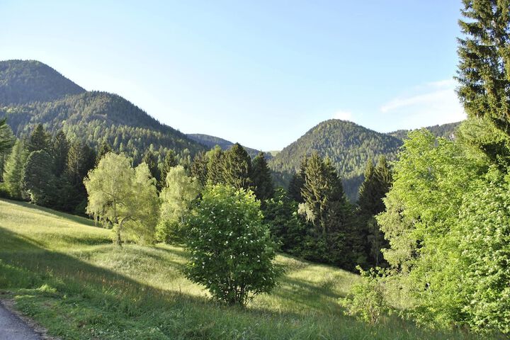 Mountain view