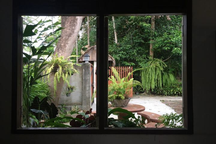 View from room