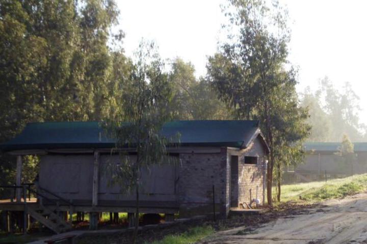General 4 of 9