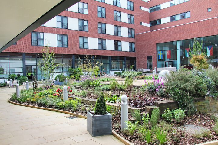 Garden view