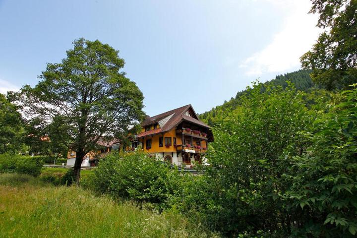 Photo 1