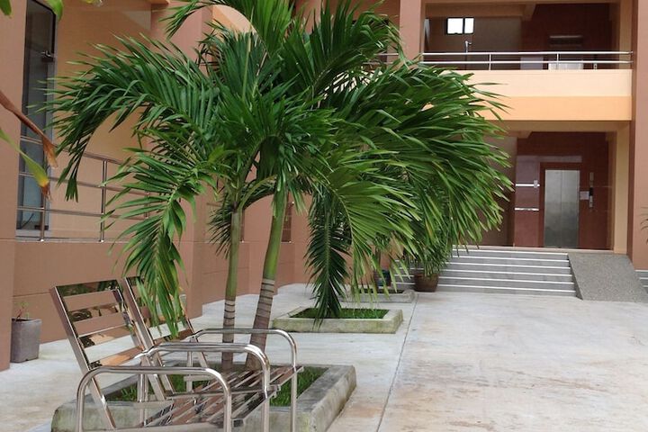 Hotel Exterior 50 of 61