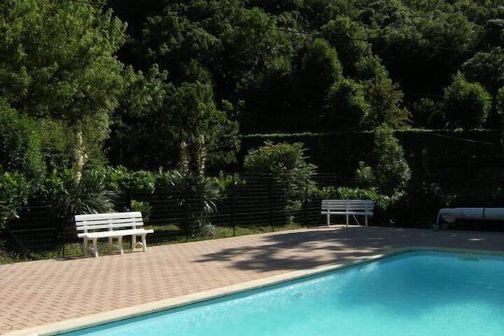 Pool 18 of 29