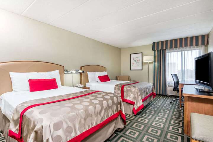 2 Double Bed Room