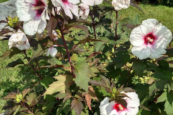 Property Grounds 144 of 191