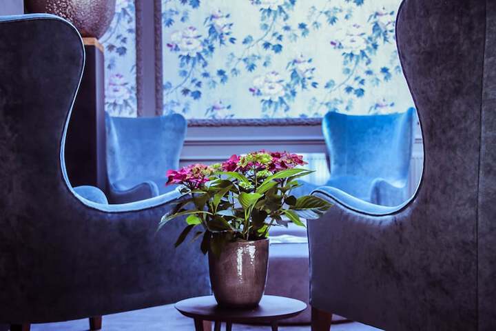 Lobby Photos