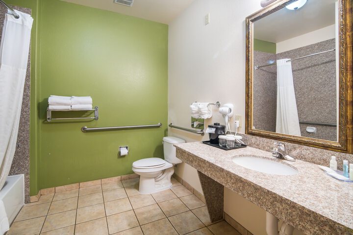 1 King Bed Suite (5 of 13)