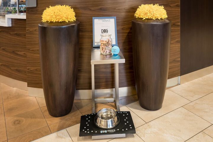 Pet-friendly