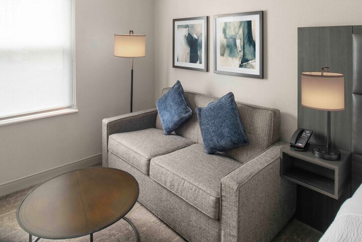 Standard King Bed Sofa (14 of 18)