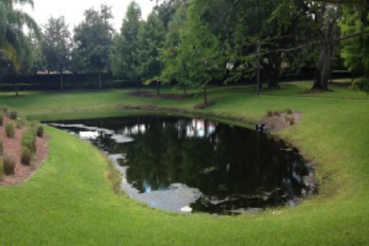 Property Grounds 21 of 323