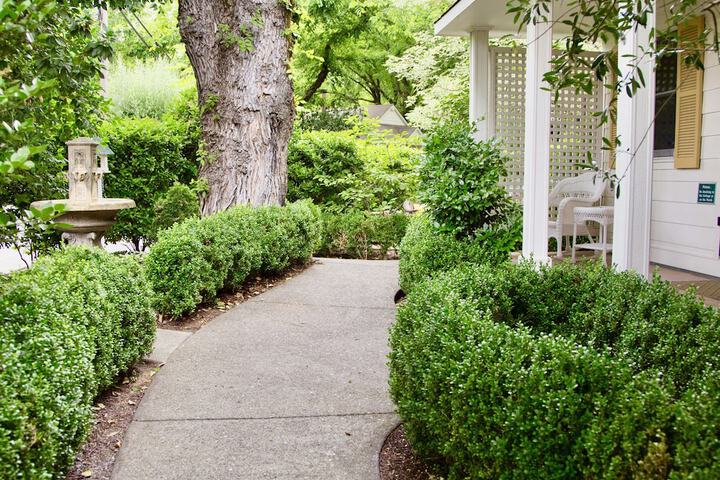 Garden view